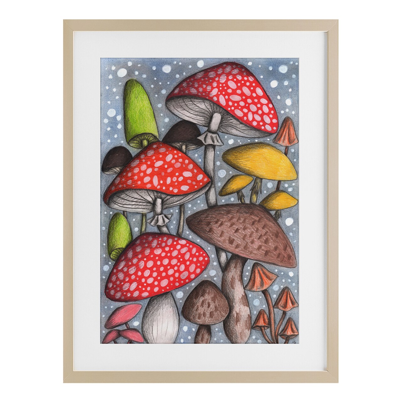 Stupell Industries Sketched Magical Mushrooms Framed Print Under Glass, design by Cecilia Battaini